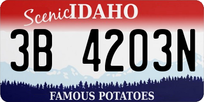 ID license plate 3B4203N