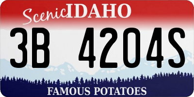 ID license plate 3B4204S