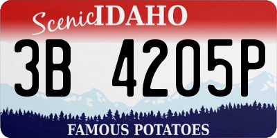 ID license plate 3B4205P