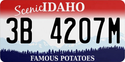 ID license plate 3B4207M