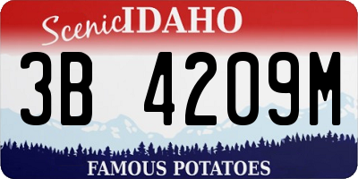 ID license plate 3B4209M