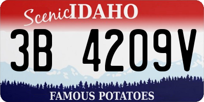 ID license plate 3B4209V