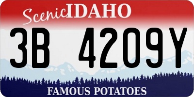 ID license plate 3B4209Y