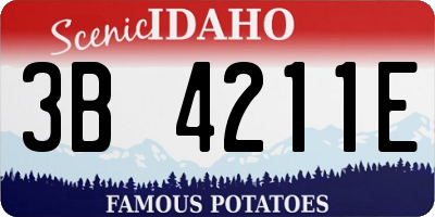 ID license plate 3B4211E