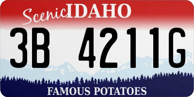ID license plate 3B4211G