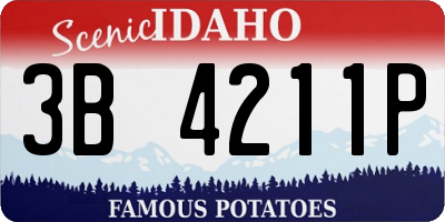 ID license plate 3B4211P