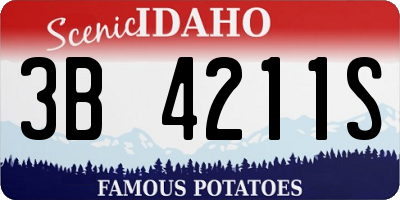 ID license plate 3B4211S