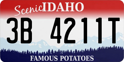 ID license plate 3B4211T