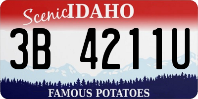 ID license plate 3B4211U