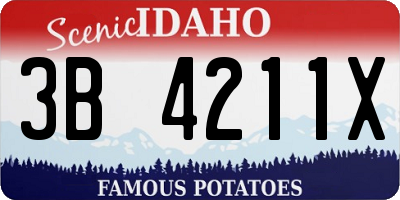 ID license plate 3B4211X