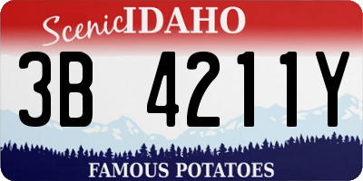 ID license plate 3B4211Y