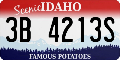 ID license plate 3B4213S