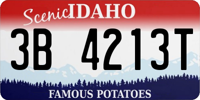 ID license plate 3B4213T