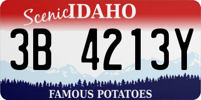 ID license plate 3B4213Y