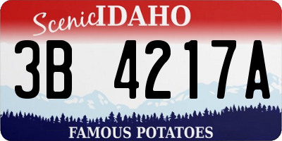ID license plate 3B4217A