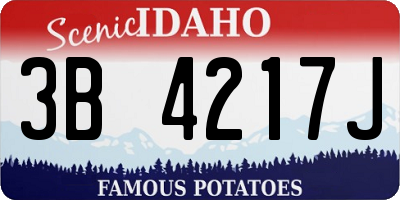 ID license plate 3B4217J