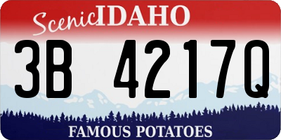 ID license plate 3B4217Q