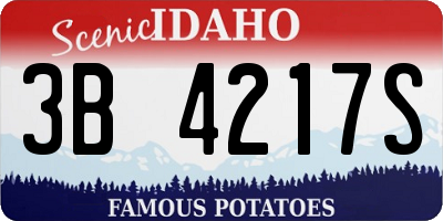 ID license plate 3B4217S