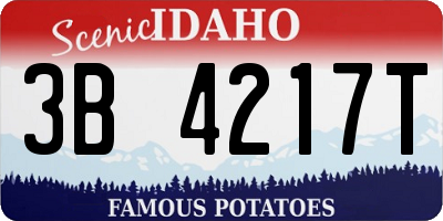 ID license plate 3B4217T