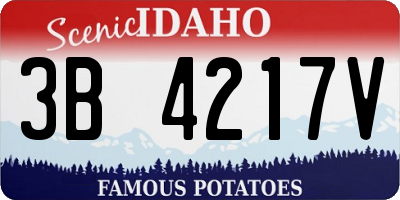 ID license plate 3B4217V