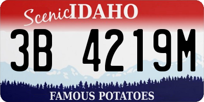 ID license plate 3B4219M