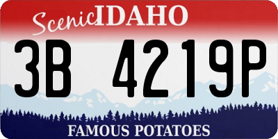 ID license plate 3B4219P