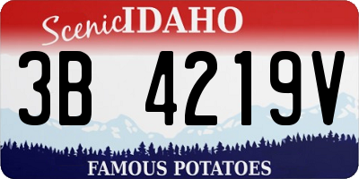 ID license plate 3B4219V