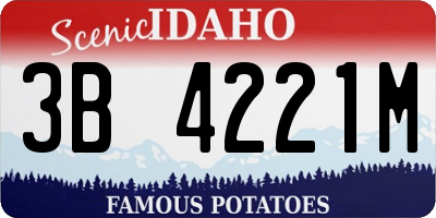 ID license plate 3B4221M