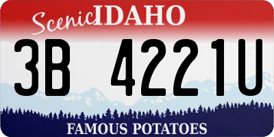 ID license plate 3B4221U