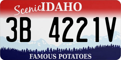 ID license plate 3B4221V