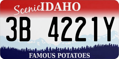 ID license plate 3B4221Y