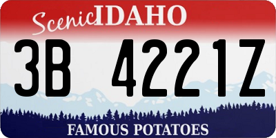 ID license plate 3B4221Z