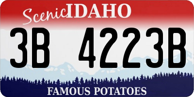 ID license plate 3B4223B