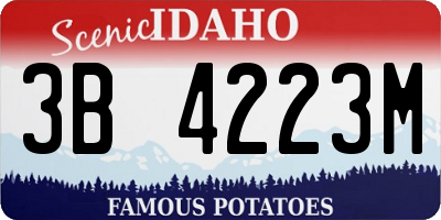 ID license plate 3B4223M