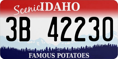ID license plate 3B4223O
