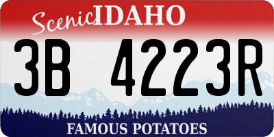 ID license plate 3B4223R