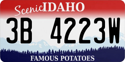 ID license plate 3B4223W