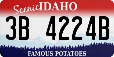 ID license plate 3B4224B