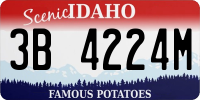 ID license plate 3B4224M