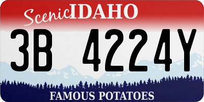 ID license plate 3B4224Y