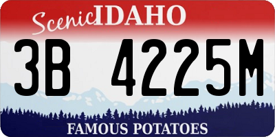 ID license plate 3B4225M