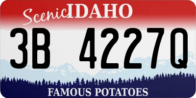 ID license plate 3B4227Q
