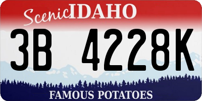 ID license plate 3B4228K