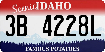 ID license plate 3B4228L
