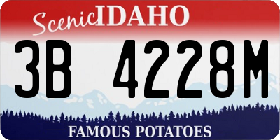 ID license plate 3B4228M
