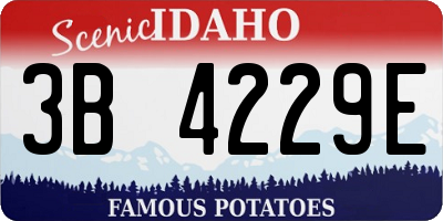 ID license plate 3B4229E