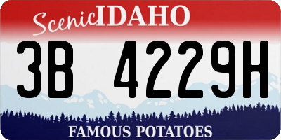 ID license plate 3B4229H