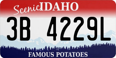 ID license plate 3B4229L