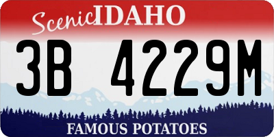ID license plate 3B4229M