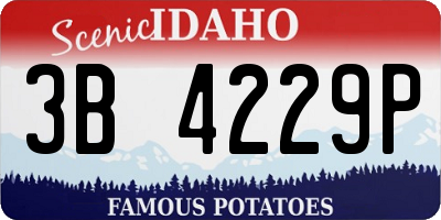 ID license plate 3B4229P